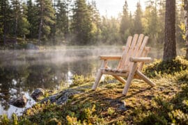 Alternative view of Lakewood Log stol